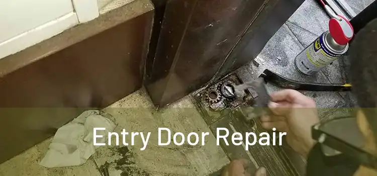 Entry Door Repair